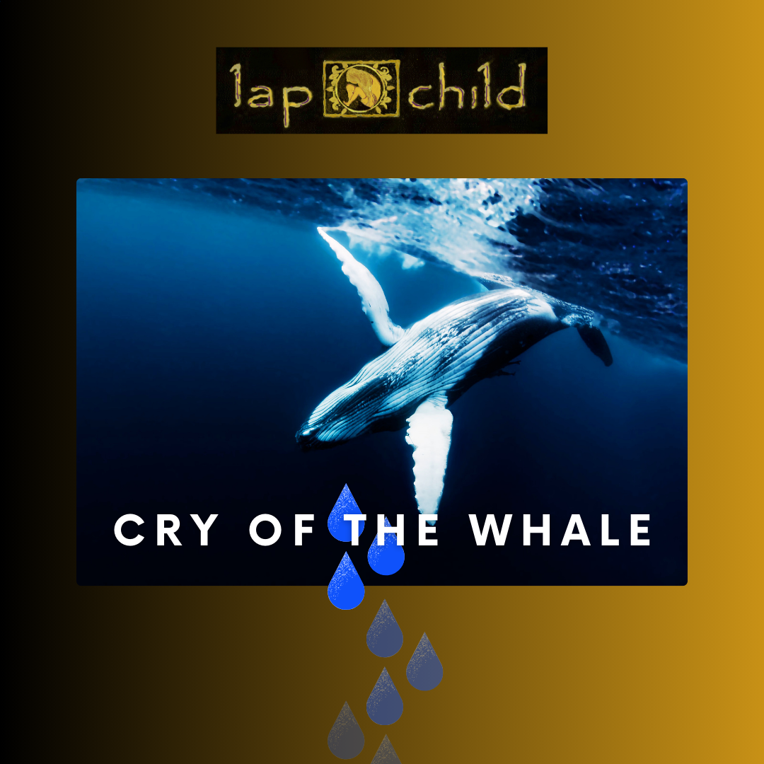 New Lap Child Album Cry of the Whale